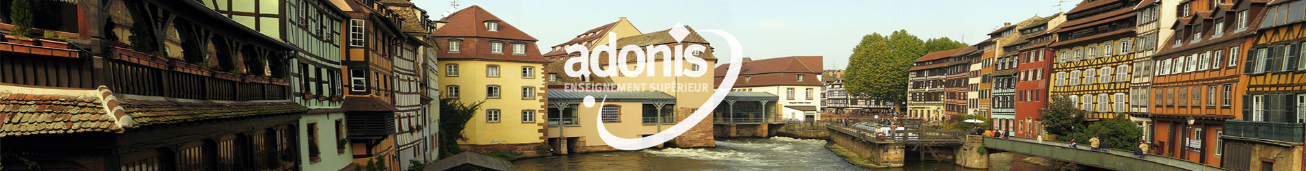 Bandeau école Adonis Aix-en-Provence